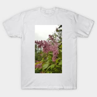 Lilacs in the Rain T-Shirt